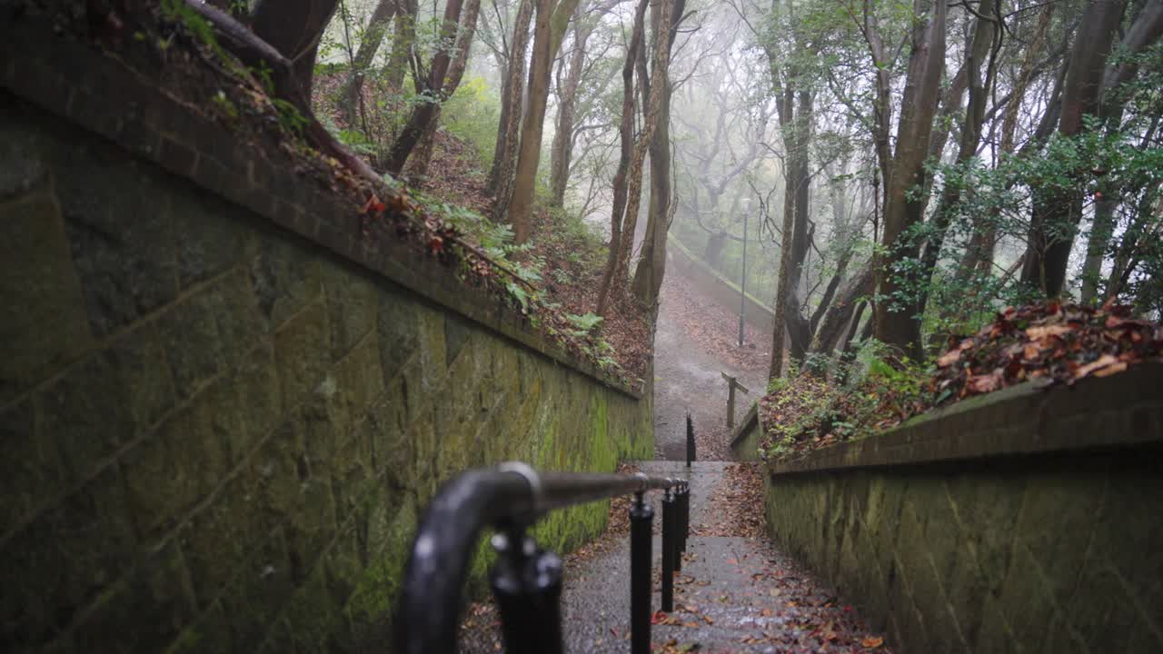 Spooky Moss Covered Staircase on Rainy and Misty Day on Etajima Island, Japan