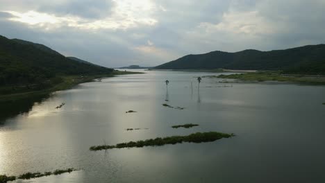 reverse aerial footage of a lake and sunset revealing palm trees in the middle and bars of land showing the whole picture, muak klek, saraburi, thailand