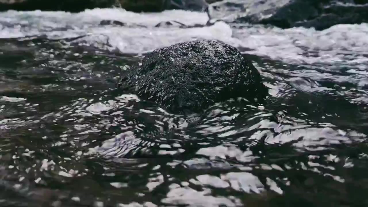Close-up of a dark stone in a flowing river