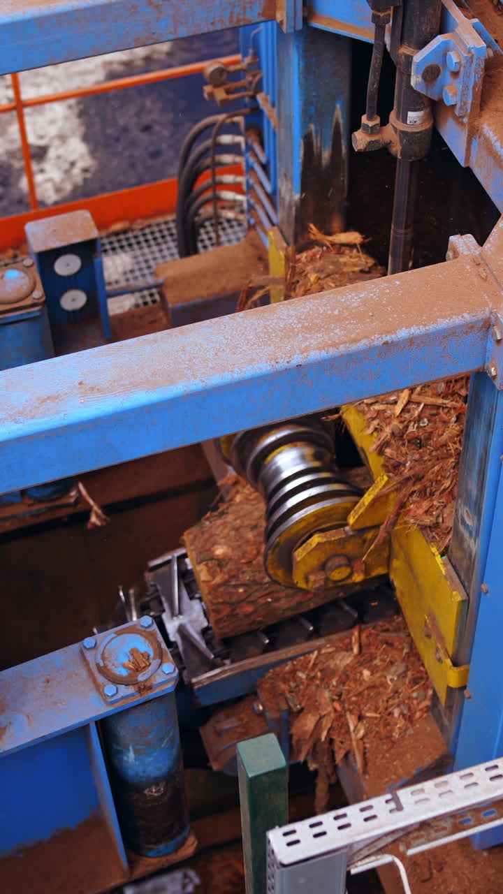 Sawmill. Process of machining logs in a machine different view closeup. Removing bark from logs. Closeup. Vertical video