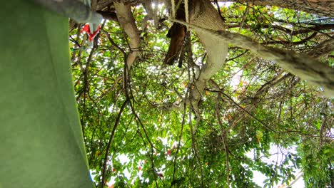 Adéntrate-En-Un-Mundo-De-Esplendor-Natural-Con-Este-Encantador-Video-En-Cámara-Rápida-Ambientado-En-Un-Pintoresco-Patio-Con-Jardín-En-Villa-De-Leyva.