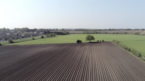 aerial drone view rows of fertile british agricultural rich soil furrow countryside slow push in