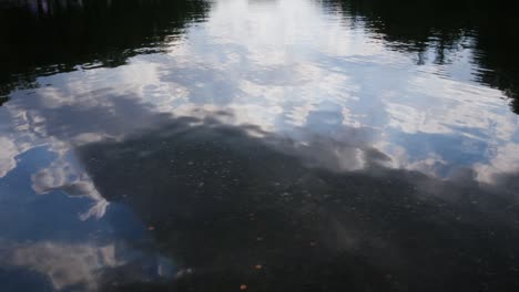 water in the reflection pond at the national mall in washington dc