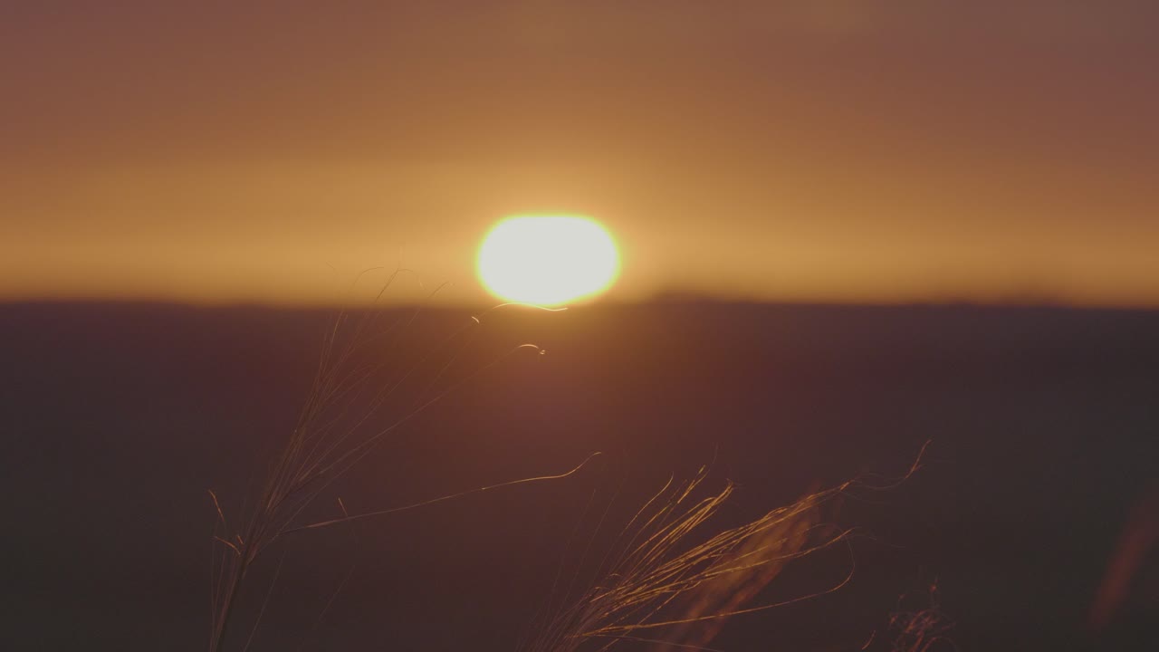 puesta de sol sobre un campo