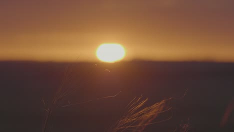 sunset over a field