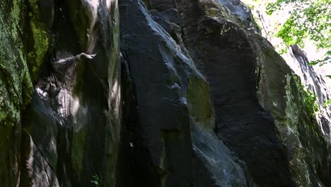 natural rock climbing wall on a hike in shenandoah virginia, tilt up