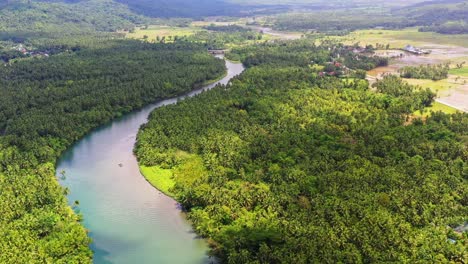 River-Surrounded-With-Dense-Coconut-Trees-Near-Saint-Bernard-Village-In-Southern-Leyte,-Philippines