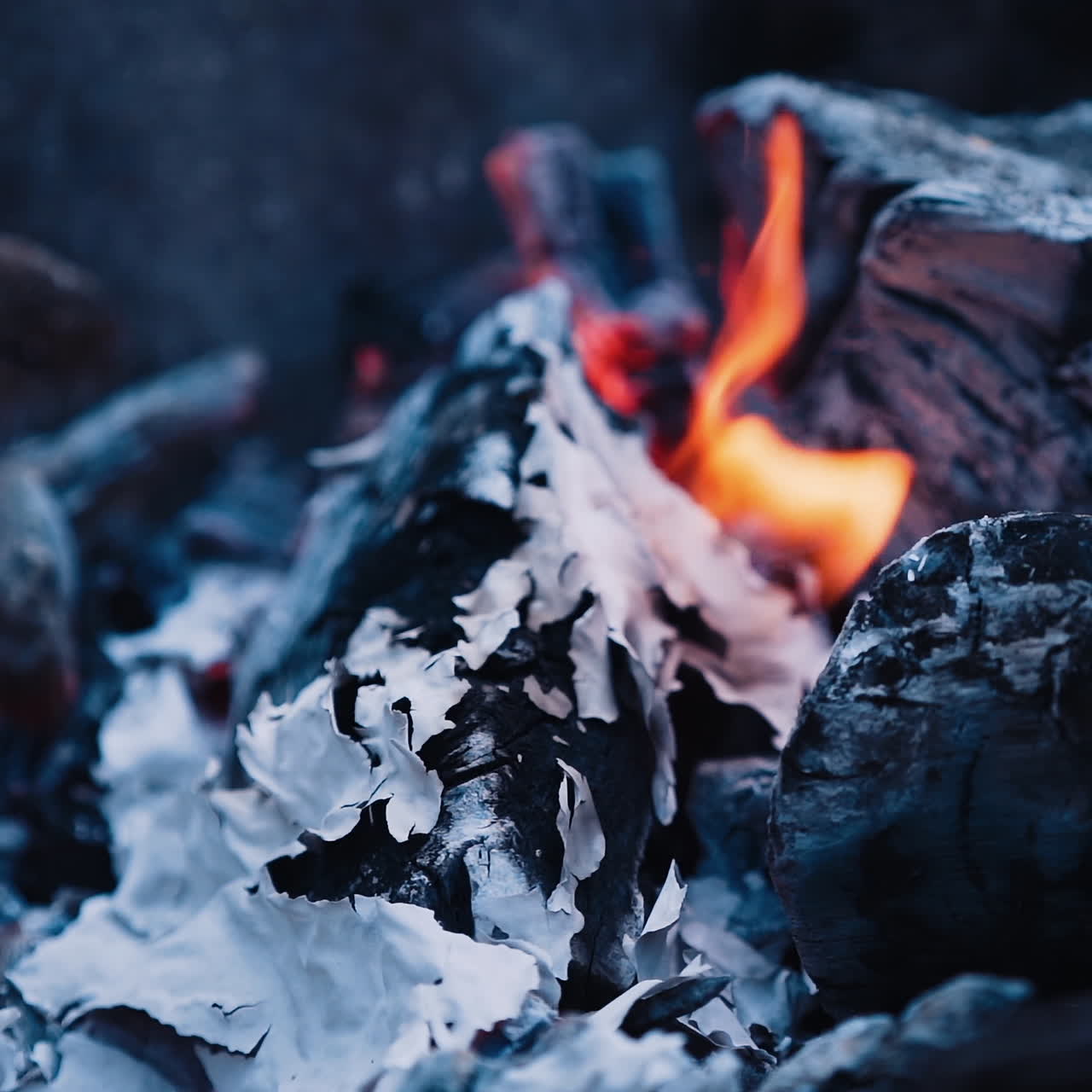 Flame when burning the paper in the bonfire