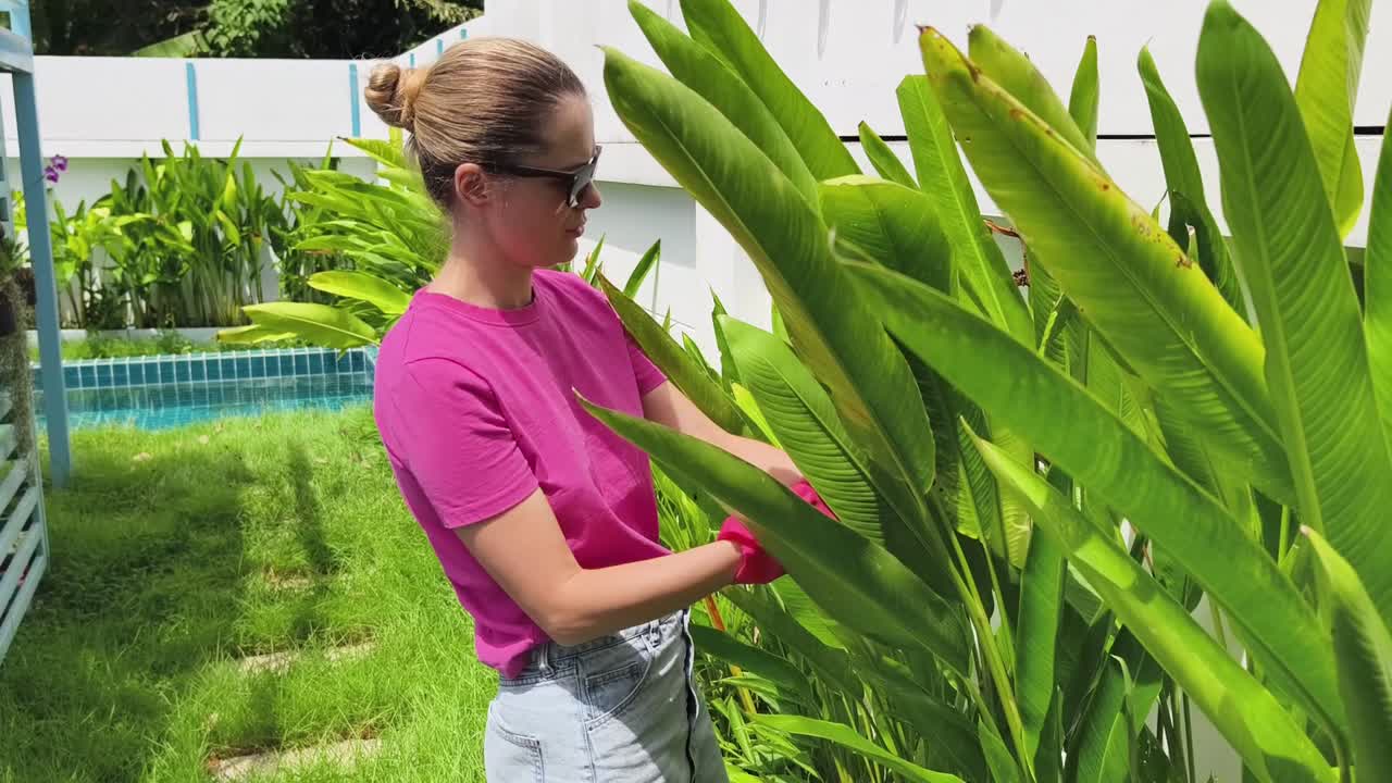 열대 뒷마당 에서 정원 을 꾸리는 여자