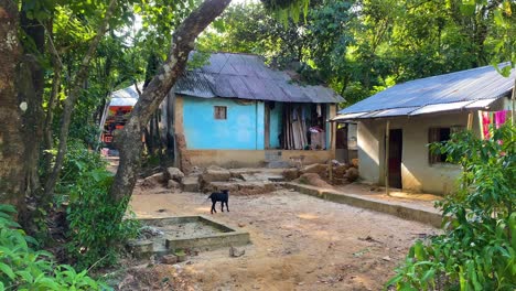Casas-De-Barro-En-Una-Aldea-Tribal-En-El-Campo-Rural-En-Bangladesh
