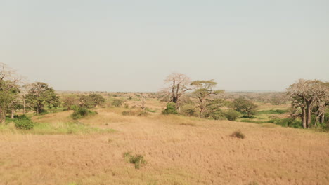 traveling across the african savanna, drone 4k, angola, africa 5