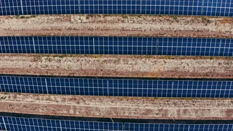 a top-down aerial shot of rows of solar panels in a large solar farm