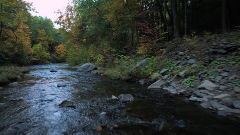 low smooth drone video footage of a beautiful appalachian forest stream during autumn