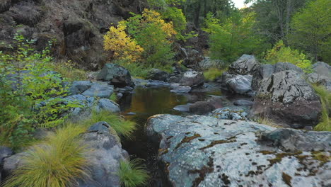 Colorful-mountain-stream-aerial-shot