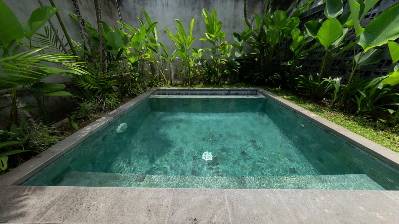 A small luxury swimming pool in a tropical garden