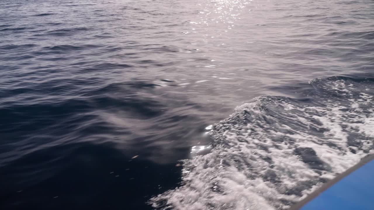From the boat, the waves crash against the bow, sending splashes of water into the air. The sunlight reflects off the shimmering surface, creating a sparkling dance of light on the ocean.