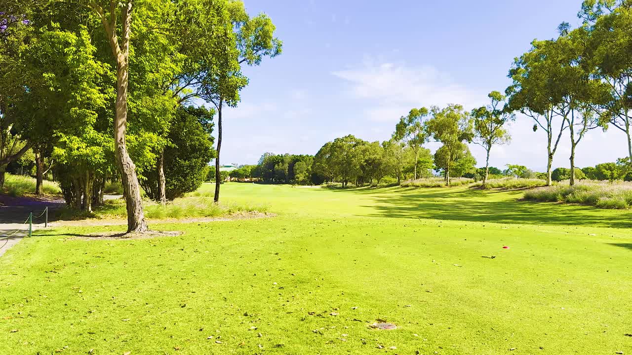 나무 와 하늘 이 있는 푸른 공원
