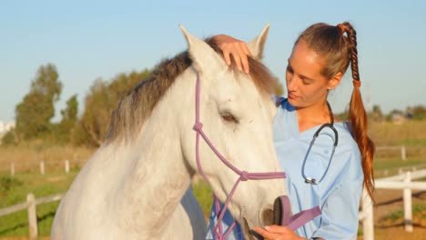 veterinarian doctor standing with horse 4k