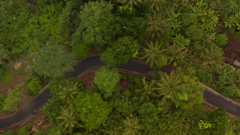 Vista-Aérea-De-Arriba-Hacia-Abajo-De-Dos-Motocicletas-Conduciendo-Por-La-Carretera-Asfaltada-A-Través-De-La-Selva-Tropical.-Vista-Aérea-De-Motociclistas-En-Un-Camino-De-La-Jungla-En-Indonesia