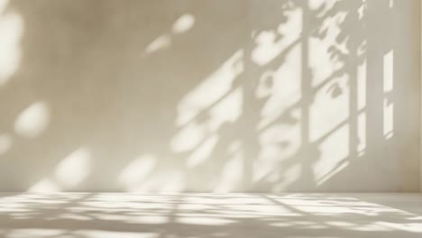 minimalist video backdrop with soft shadows of leaves on a beige wall
