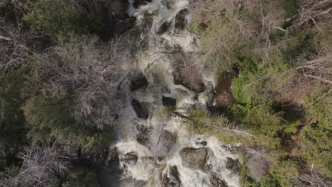 Owen-sound-waterfall-surrounded-by-lush-greenery-and-bare-trees-in-canada,-aerial-view