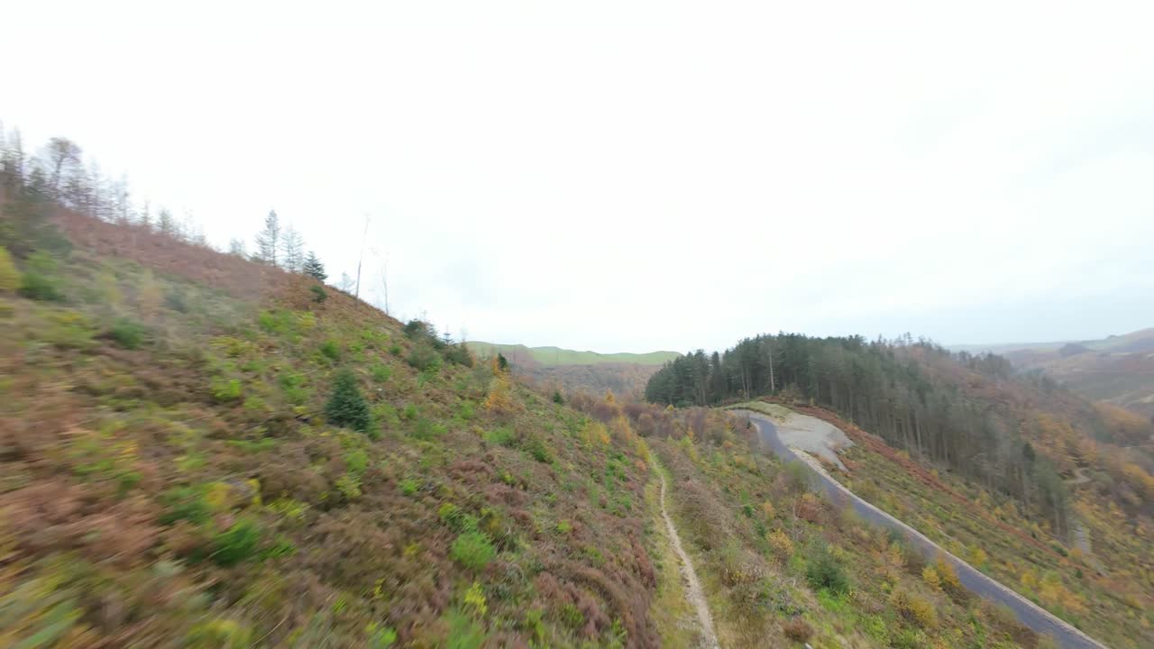 Vista dinamica in prima persona di un drone che vola basso sopra un ripido versante ricoperto da un colorato fogliame autunnale, rivelando una tortuosa strada di montagna e un vasto, suggestivo paesaggio vallivo in lontananza.