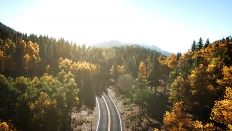 aerial drone view flight over pine tree forest in mountain at sunset