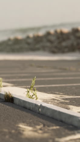 a close-up of a curb with grass growing out of it.