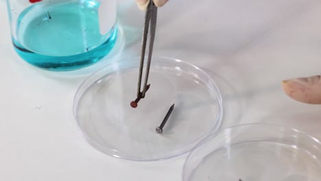 iron nails reacting with copper sulfate solution