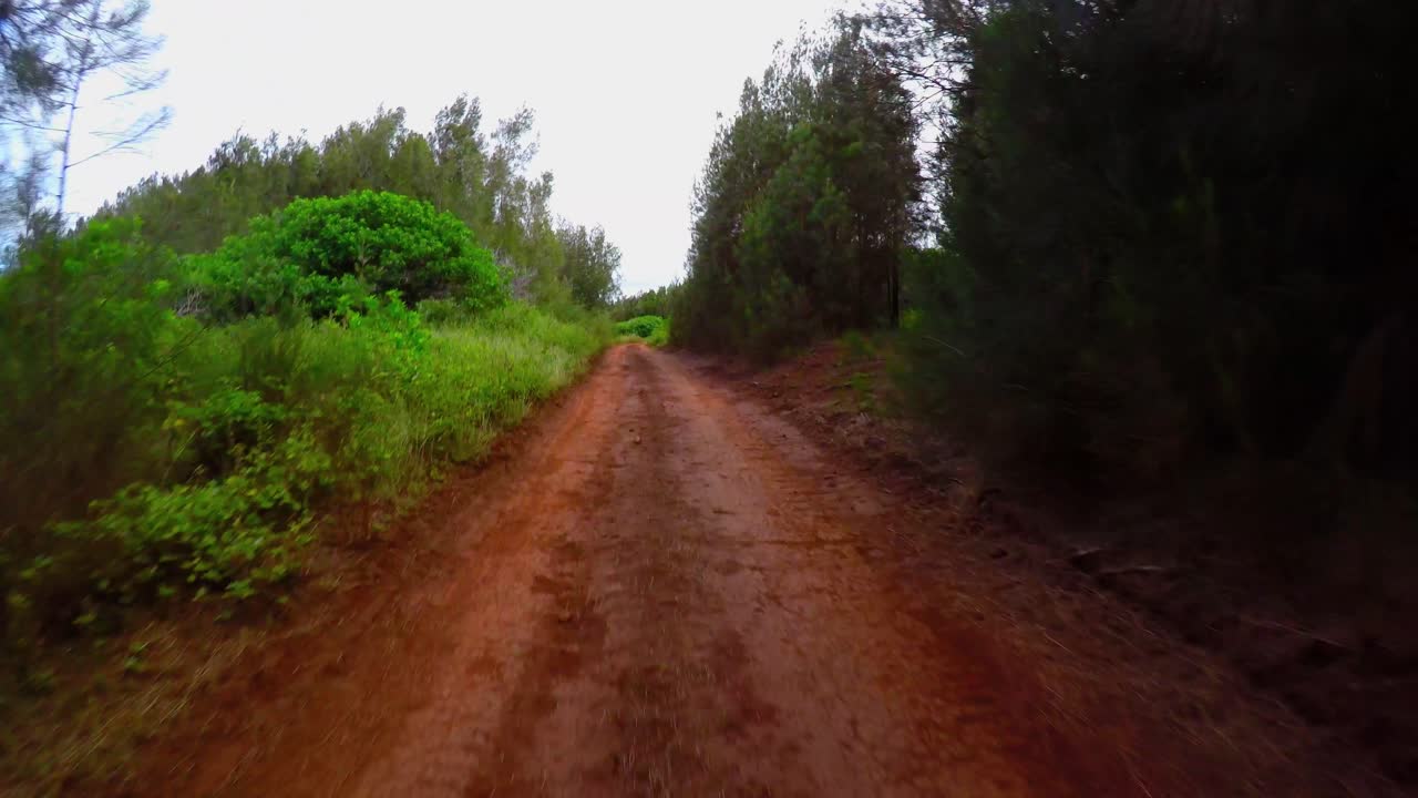 tiro pov conduciendo por un camino de tierra roja en la isla de lanai en hawaii 1