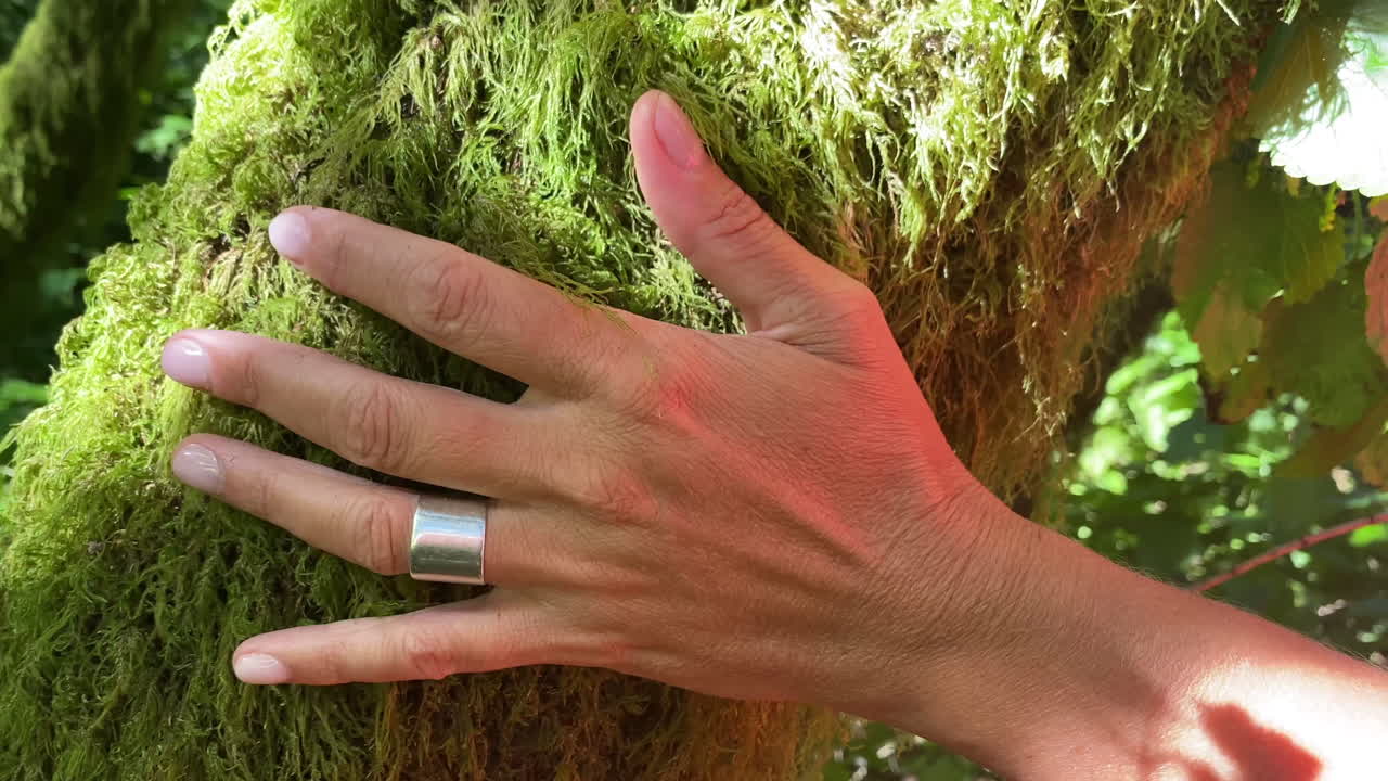 Woman caressing a tree overgrown with lichen and moss in an old forest with sunbeams