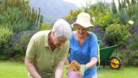 senior couple gardening together