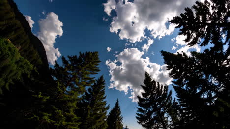 mountain forest with cloudscape