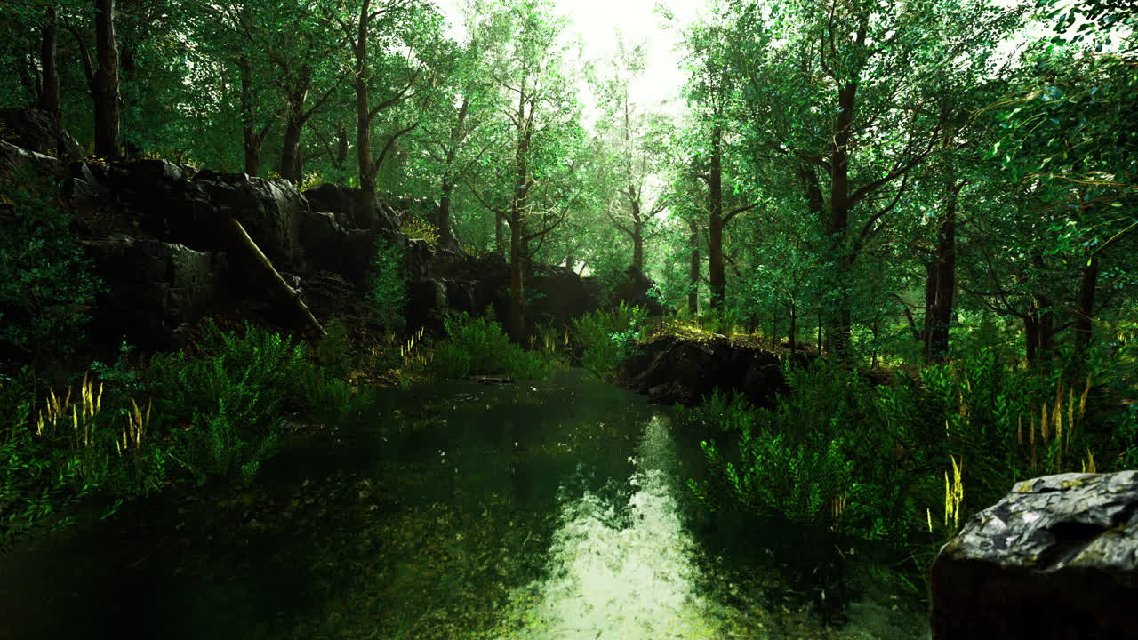 부드러운 빛 아래 평화로운 연못이 있는 푸른 숲 풍경