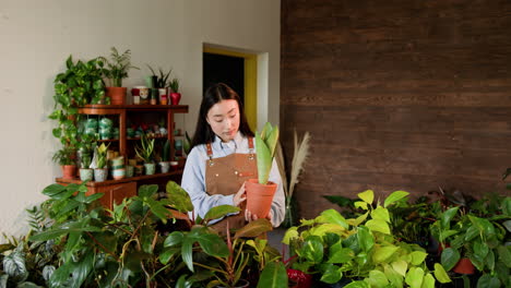 mujer trabajando en una tienda de plantas