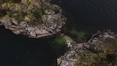 Luftaufnahme-Der-Insel-Hodgson-In-Britisch-Kolumbien