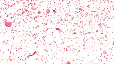 flower petals, spring season background