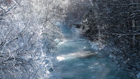 small stream of water flowing around frozen snow covered trees during winter with fog and mist