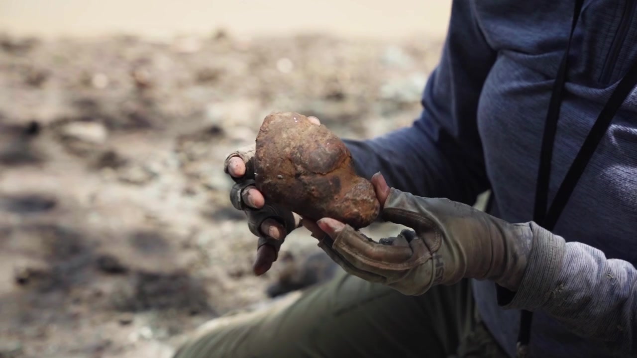 Close up detail of a scientist holding a coprolite fossil on the banks of the Amazon River in Iquitos Peru.
