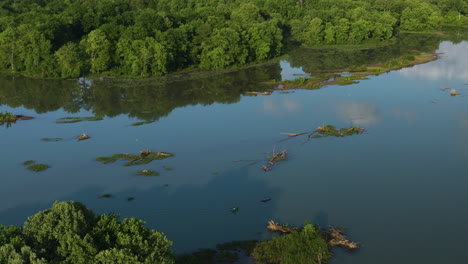 lush green vegetation surrounding lake sequoyah in arkansas, usa - aerial shot