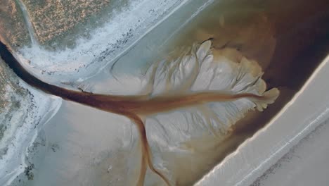 droneshot of dark ditchwater making tree like pattern on a beach