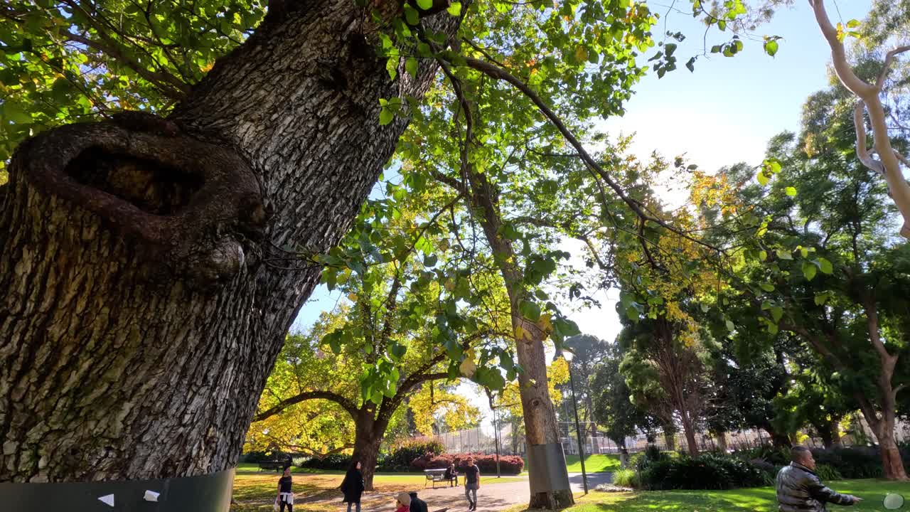 gente disfrutando de un día soleado en el parque de melbourne