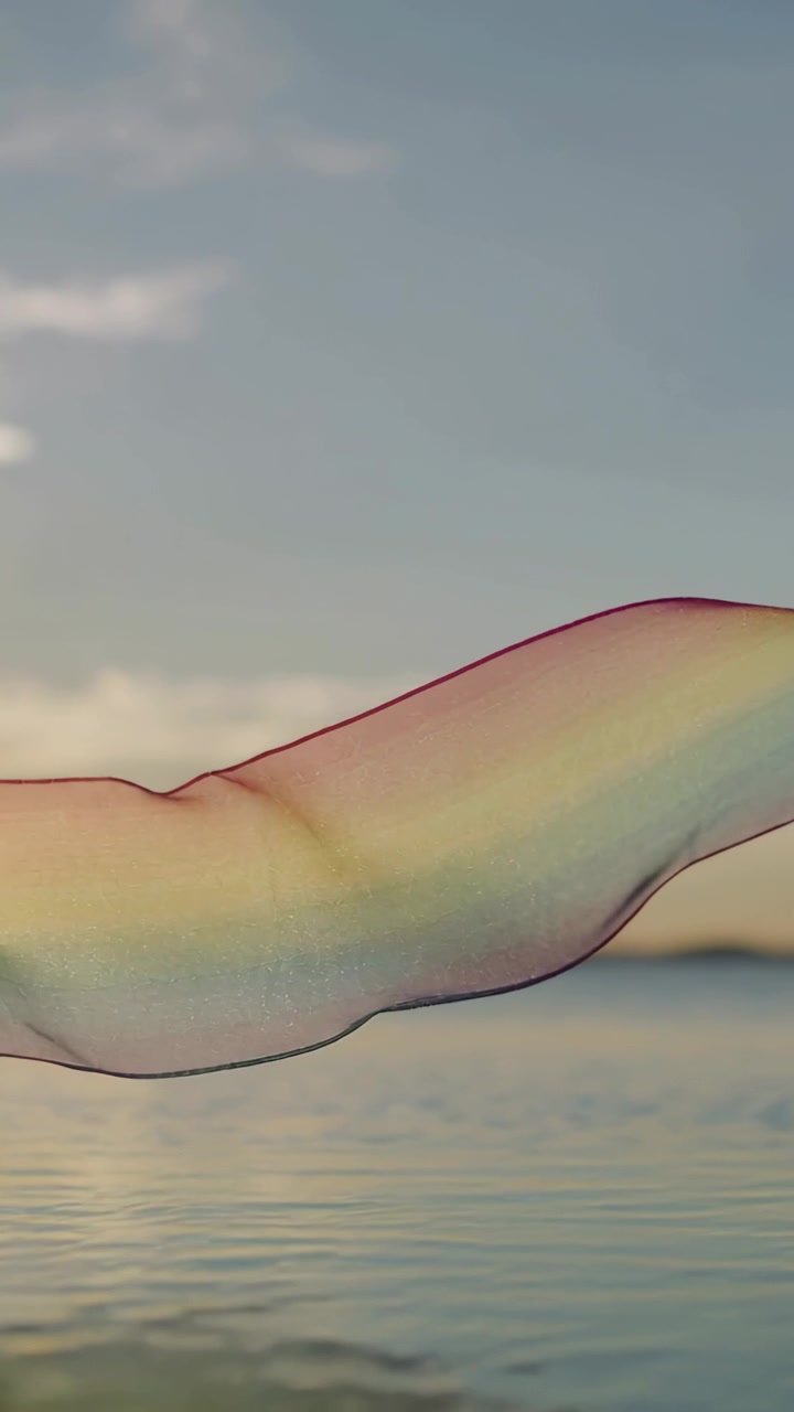 Vertical video: Gliding iridescent film moving eastward under gentle breeze above sunlit calm sea