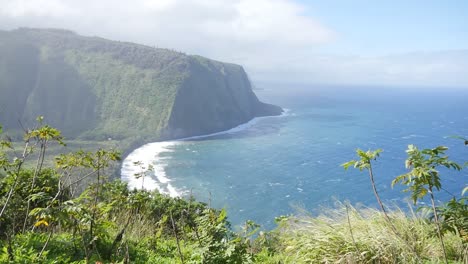 waipi'o valley on big island hawaii on a sunny spring day with winds blowing on the pacific ocean and plants in the foreground