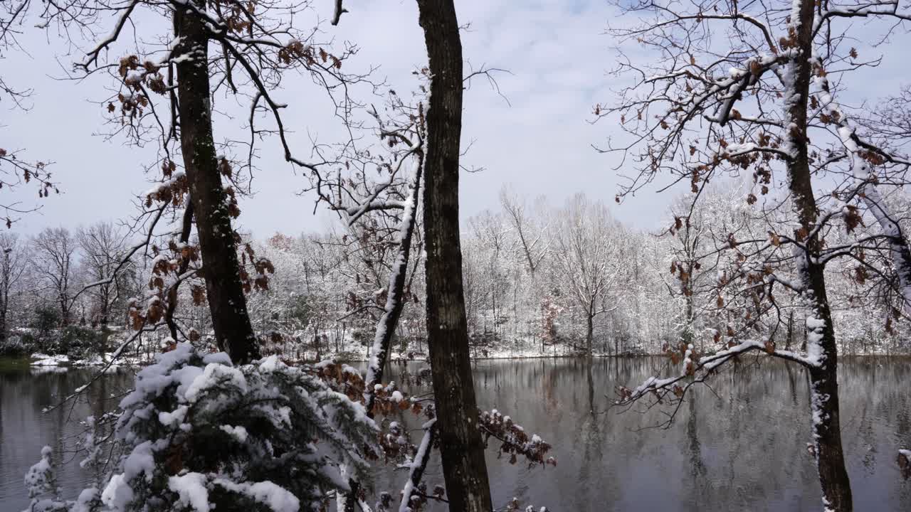 árvores da floresta cobertas de neve branca e lago calmo em dia frio de inverno