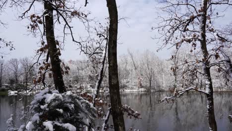 Waldbäume-Bedeckt-Mit-Weißem-Schnee-Und-Ruhigem-See-An-Kalten-Wintertagen