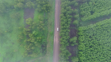 aerial view of vehicle traveling on dirt road inside remote jungle, overcast ambience