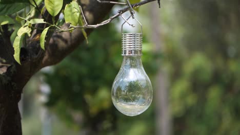 lamp bulb gently sways hanging on tree with blurred background, slow motion shot