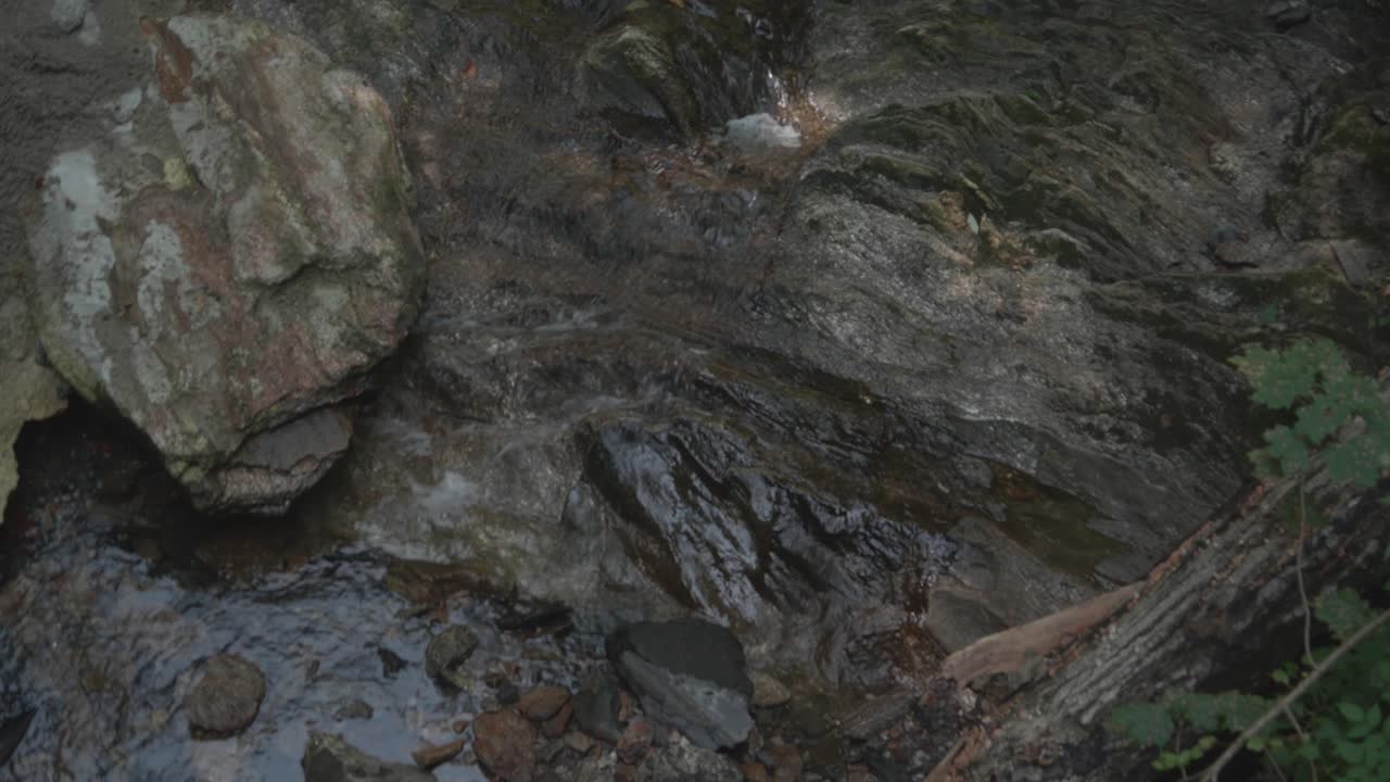 agua que fluye sobre piedras, wissahickon creek, filadelfia