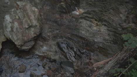 Water-flowing-over-stones,-Wissahickon-Creek,-Philadelphia